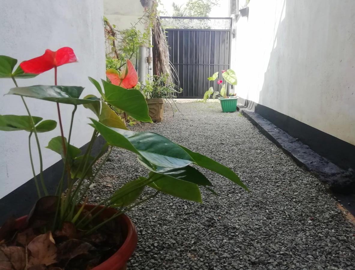 New Coral Garden Weligama Hotel Екстериор снимка