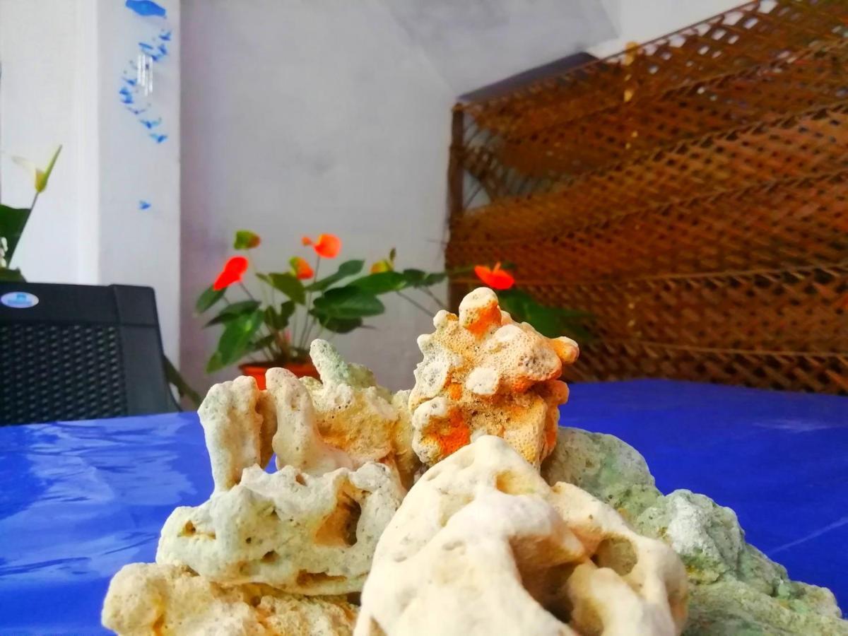 New Coral Garden Weligama Hotel Екстериор снимка